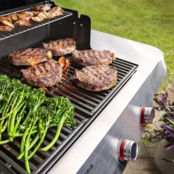 Genesis E-315 Gas Grill (Liquid Propane)