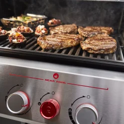 Genesis E-330 Gas Grill (Natural Gas)