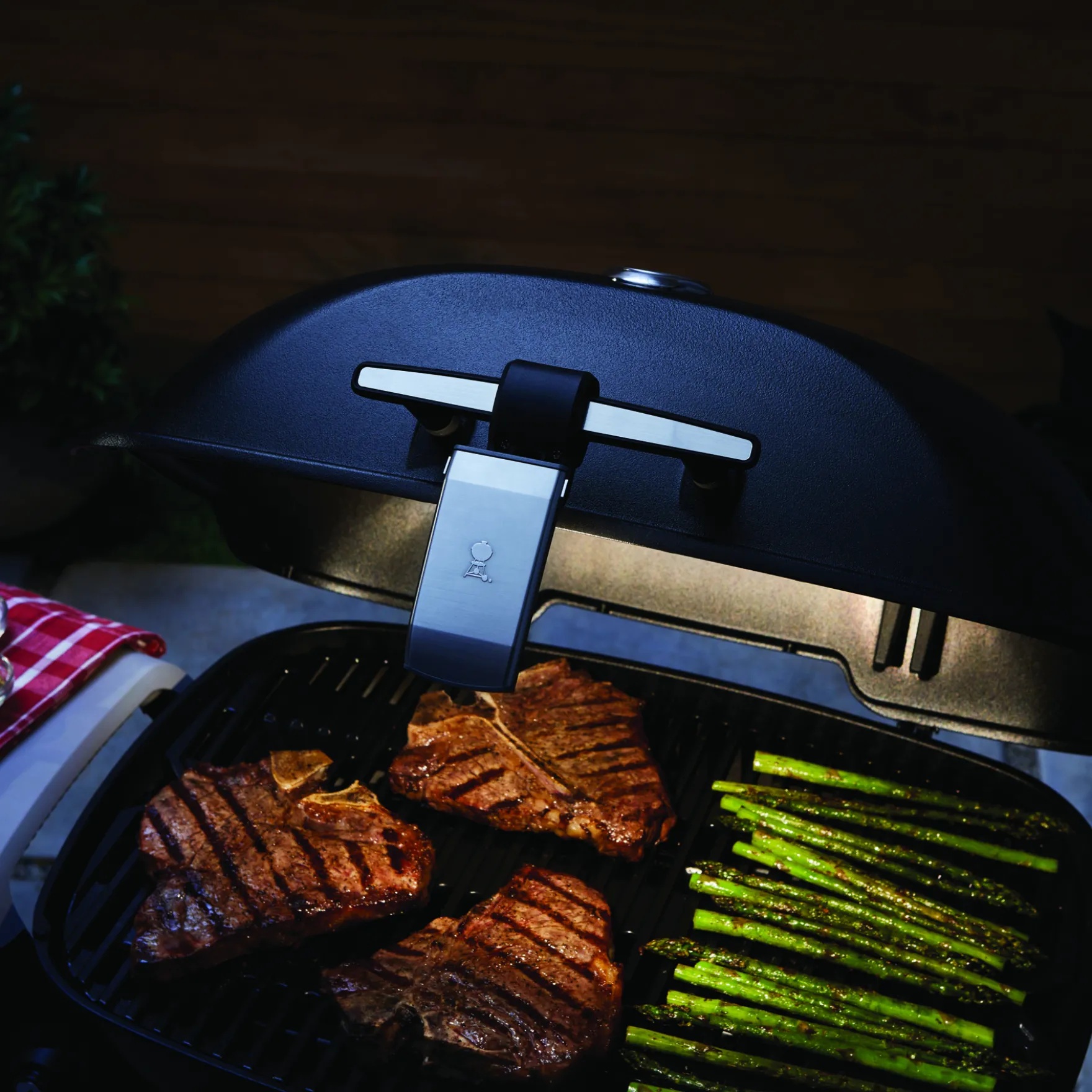 Grill ‘n Go Light