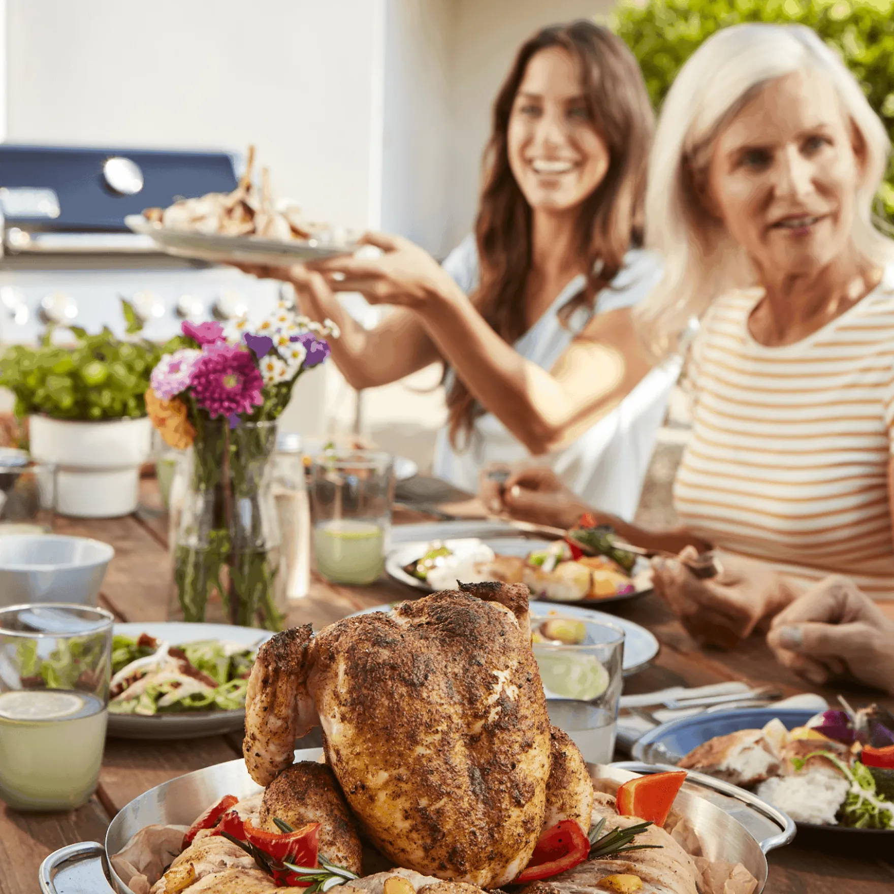 Poultry Roaster