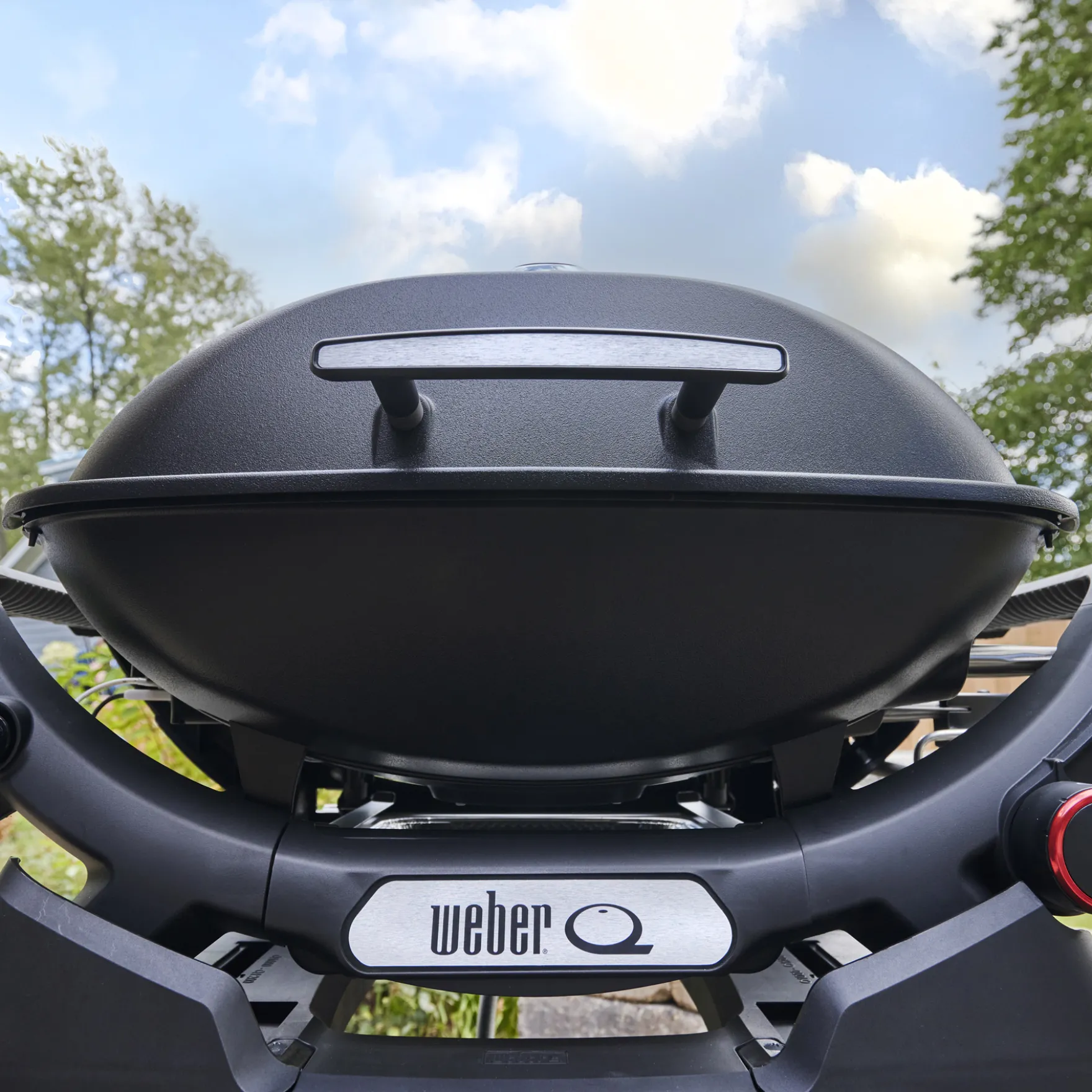 Q 2800N+ Gas Grill (Liquid Propane)