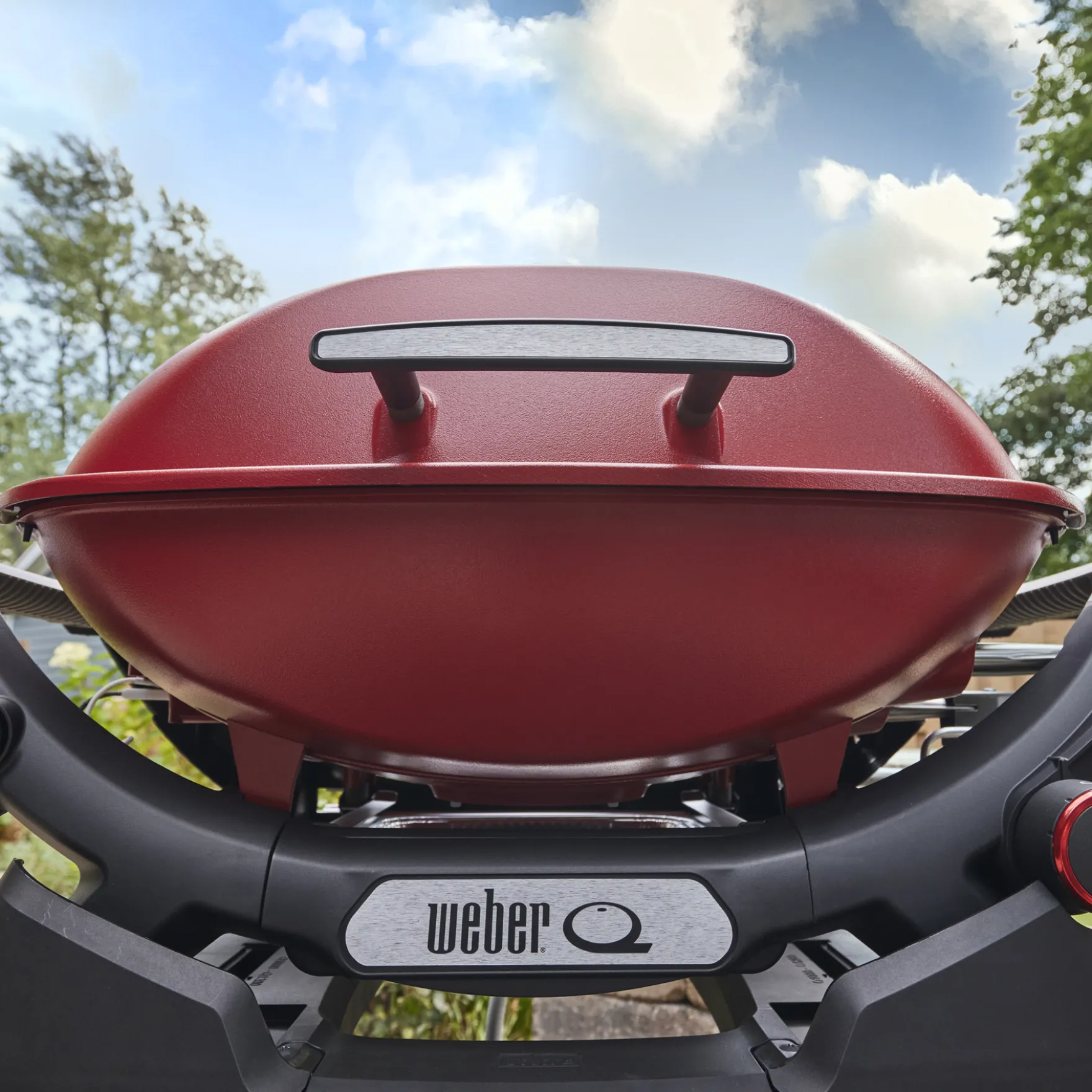 Q 2800N+ Gas Grill (Liquid Propane)