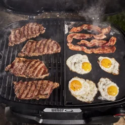 Q 2800N+ Gas Grill with Stand (Liquid Propane)