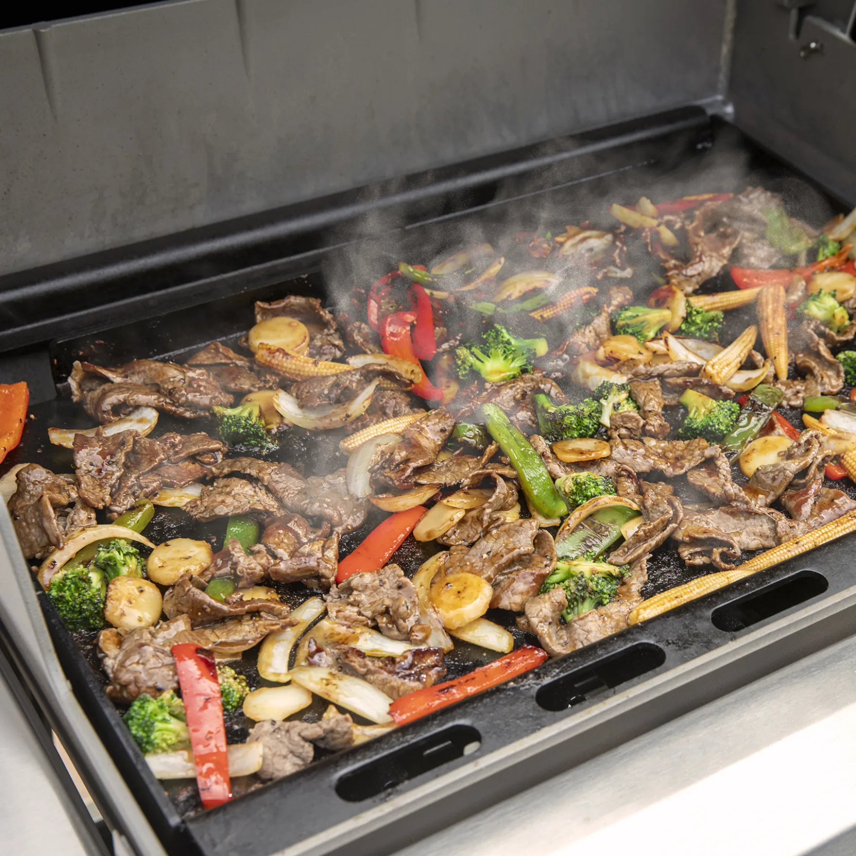 Rust-Resistant Griddle Insert
