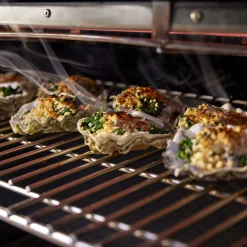 Summit® FS38 S Gas Grill (Natural Gas)