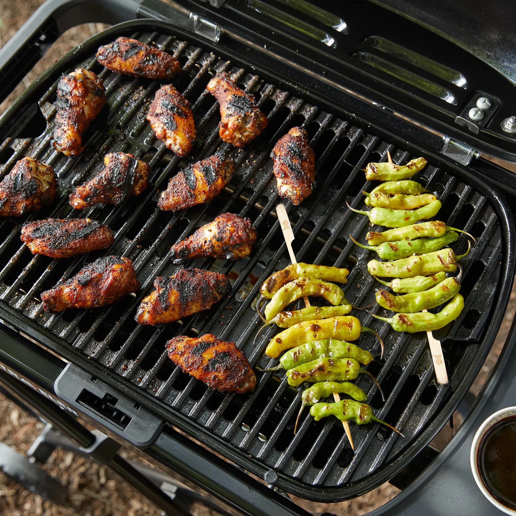 WEBER TRAVELER® COMPACT Portable Gas Grill