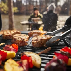 WEBER TRAVELER® COMPACT Portable Gas Grill